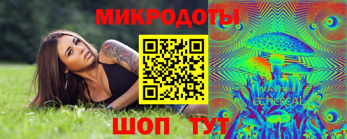 Псилоцибиновые грибы Psilocybe Салават