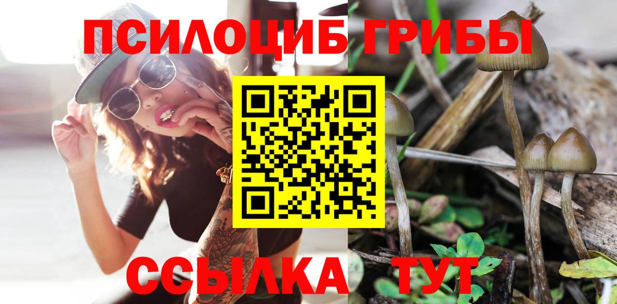 продажа наркотиков  Вход с VPN  Салават  Галлюциногенные грибы GOLDEN TEACHER  Галлюциногенные грибы GOLDEN TEACHER 